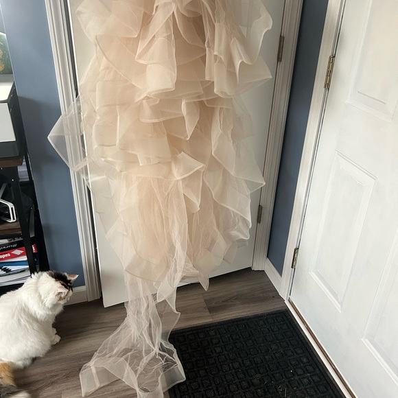 Prom Dress - Picture 3 of 9